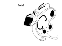 FIRETAIL trademark