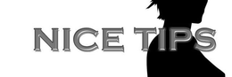 NICE TIPS trademark