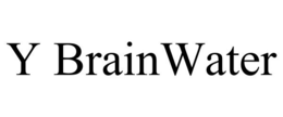 Y BRAINWATER trademark