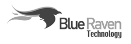 BLUE RAVEN TECHNOLOGY trademark