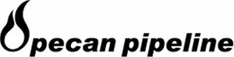 PECAN PIPELINE trademark