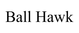 BALL HAWK trademark