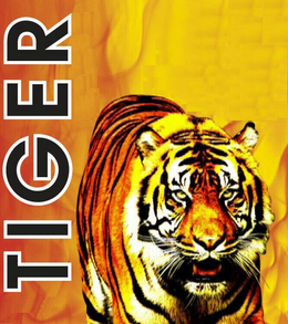 TIGER trademark