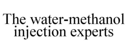THE WATER-METHANOL INJECTION EXPERTS trademark