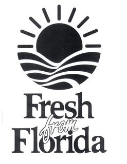 FRESH FROM FLORIDA trademark