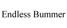 ENDLESS BUMMER trademark