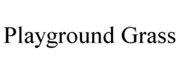 PLAYGROUND GRASS trademark