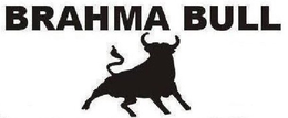BRAHMA BULL trademark