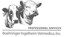 PROFESSIONAL SERVICES BOEHRINGER INGELHEIM VETMEDICA, INC. trademark