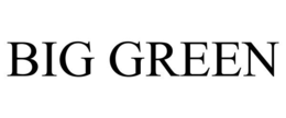 BIG GREEN trademark