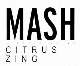 MASH A WATER DRINK CITRUS ZING trademark