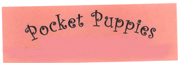 POCKET PUPPIES trademark