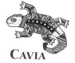 CAVIA trademark