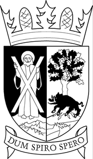 X DUM SPIRO SPERO trademark