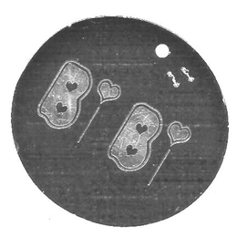 BIBI trademark