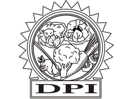 DPI trademark