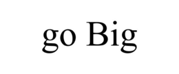 GO BIG trademark