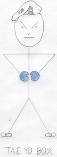 TAE YO BOX trademark