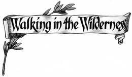 WALKING IN THE WILDERNESS trademark