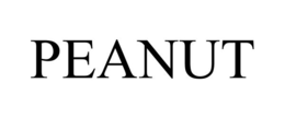 PEANUT trademark
