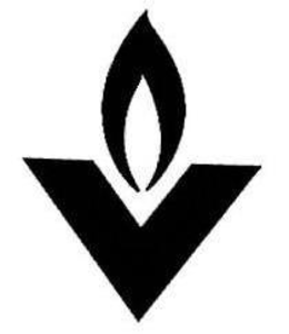 V trademark