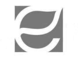 E trademark