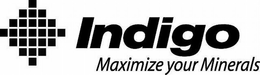 INDIGO MAXIMIZE YOUR MINERALS trademark