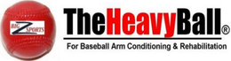 BIG Z SPORTS THE HEAVY BALL FOR BASEBALL ARM CONDITIONING & REHABILITATION trademark
