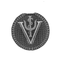 V trademark
