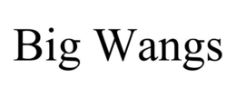 BIG WANGS trademark