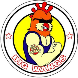BIG WANGS BIG WANG trademark