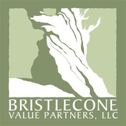 BRISTLECONE VALUE PARTNERS, LLC trademark
