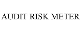 AUDIT RISK METER trademark