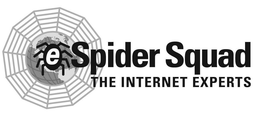 E SPIDER SQUAD THE INTERNET EXPERTS trademark