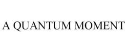 A QUANTUM MOMENT trademark