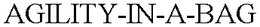 AGILITY-IN-A-BAG trademark