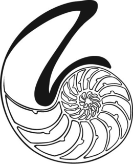 Z trademark