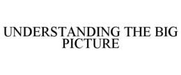UNDERSTANDING THE BIG PICTURE trademark
