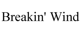 BREAKIN' WIND trademark