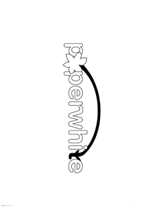 PAPERWHITE trademark