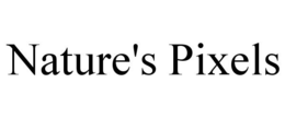 NATURE'S PIXELS trademark