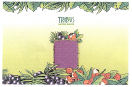 TRIBU'S AMAZON FLAVORS trademark