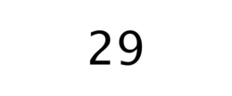 29 trademark