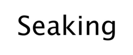 SEAKING trademark
