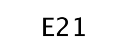 E21 trademark
