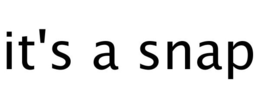 IT'S A SNAP trademark