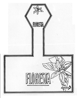 FLORESTA FLORESTA MIELSO trademark