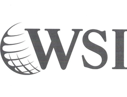 WSI trademark