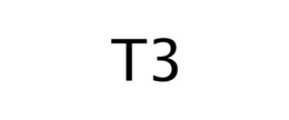 T3 trademark