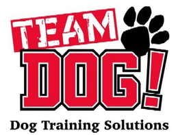 TEAM DOG! DOG TRAINING SOLUTIONS trademark